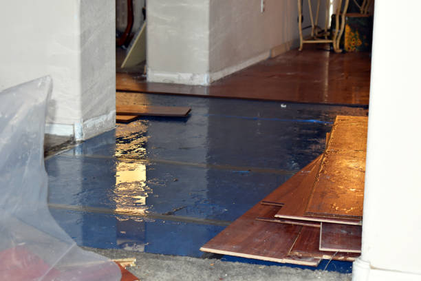 Professional Sewage Cleanup technician working in Warwick, MA